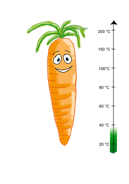 Animierte GIF-Datei: Je höher die Temperatur steigt, umso heißer wird es der Karotte
