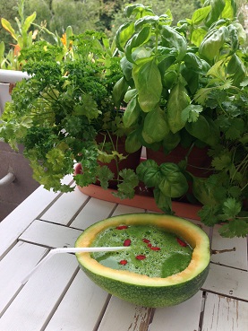 Grüner Smoothie Goji Kuss Grüner Smoothie Goji Kuss