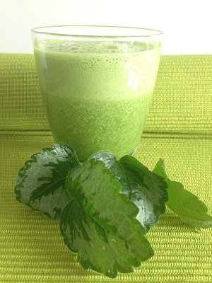 Grüner Smoothie Besser gehts nicht! Grüner Smoothie Besser gehts nicht!