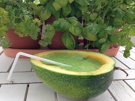Grüner Smoothie Melonentraum Grüner Smoothie Melonentraum